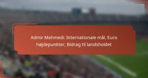 Admir Mehmedi: Internationale mål, Euro højdepunkter, Bidrag til landsholdet