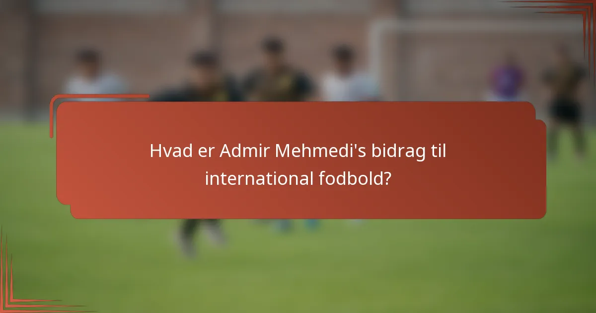 Hvad er Admir Mehmedi's bidrag til international fodbold?
