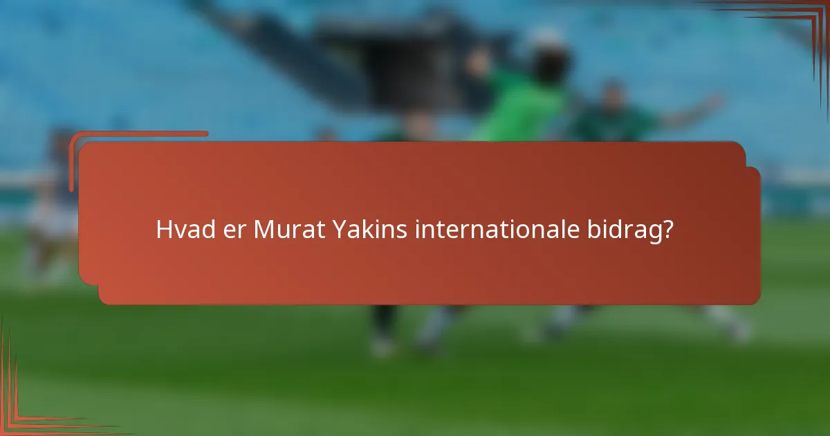 Hvad er Murat Yakins internationale bidrag?