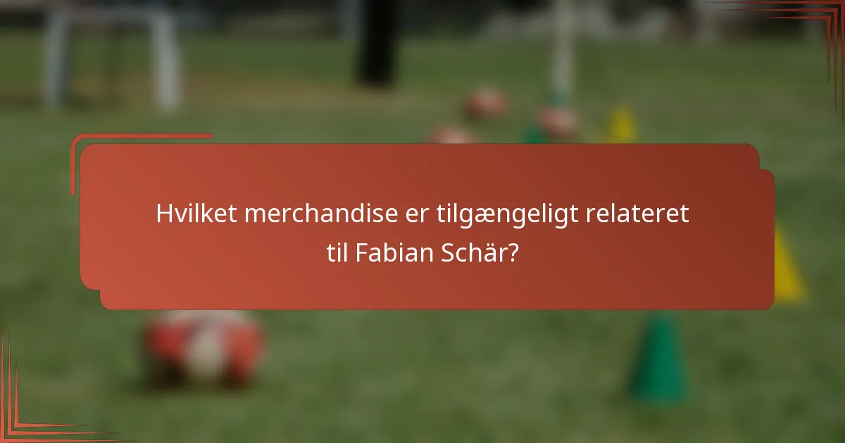Hvilket merchandise er tilgængeligt relateret til Fabian Schär?